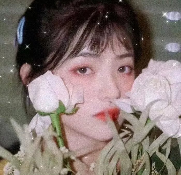 铁线蕨青